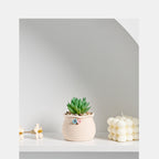 Mini Ceramic Succulent Planter Set – Modern Minimalist Small Pots