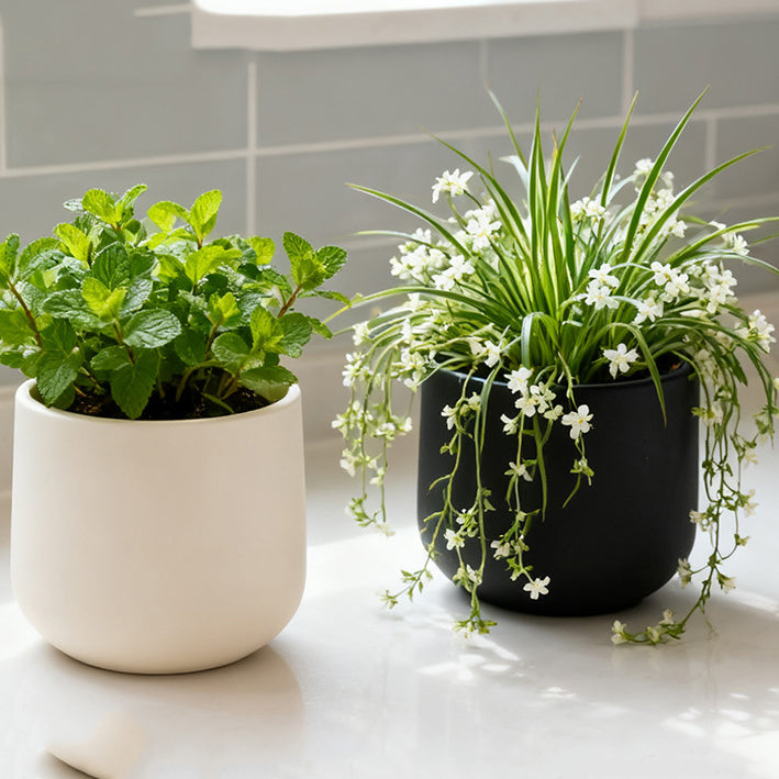 Large-Mouth Black Faux Cement Plastic Floor Planter