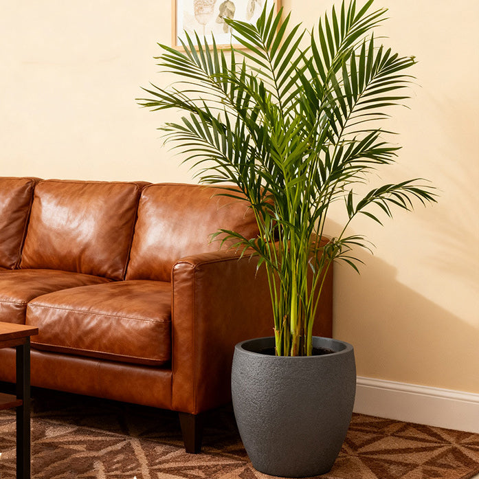 Modern Minimalist Medium White Speckled Faux Ceramic Plastic Planter