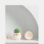 Mini Ceramic Succulent Planter Set – Modern Minimalist Small Pots